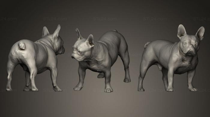 Animal figurines (DOG Male Muffin A, STKJ_0247) 3D models for cnc